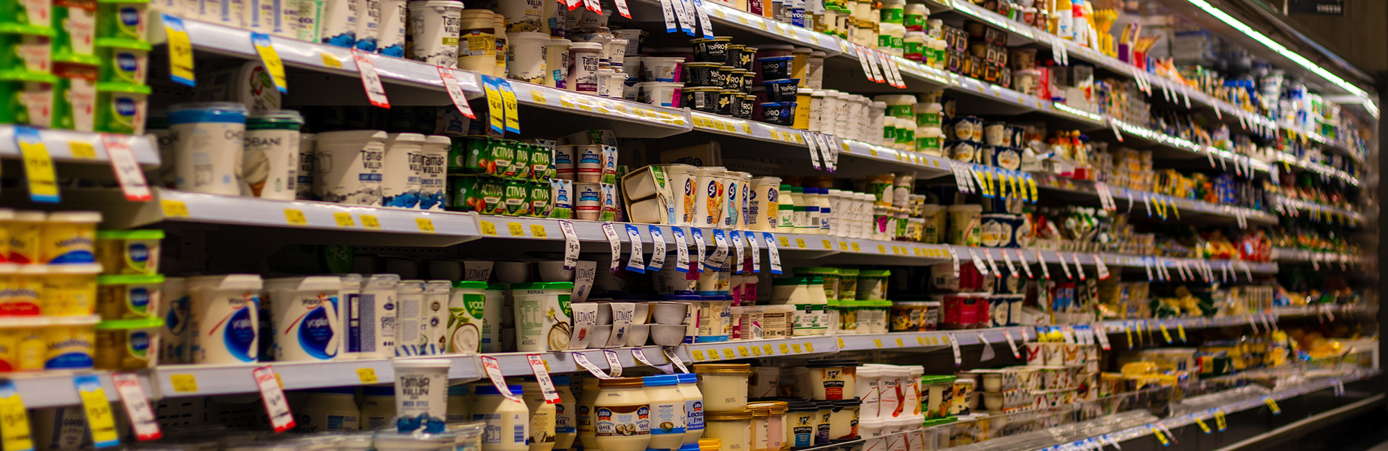 Image courtesy of pixabay supermarket-shelves-4052658-pixabay-squirrel-photos-crop-web.jpg