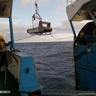 RM-Monitoring-surveys©JNCC.jpg