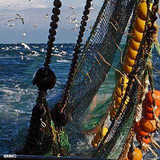 RM-FishingBoat©MMO.jpg