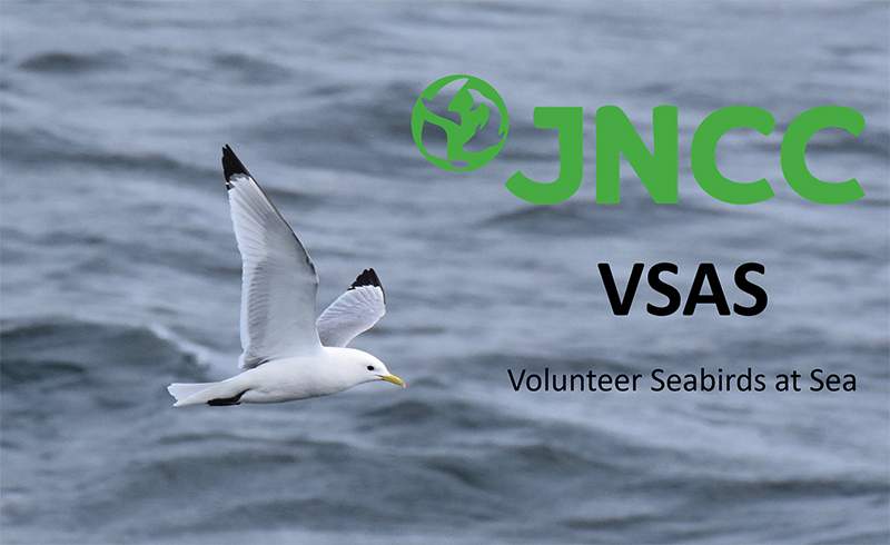 VSAS_logo-web.jpg