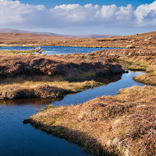 A colour photograph of a peatland landscape, with small channels of water (image courtesy of iStock, Alan Morris)