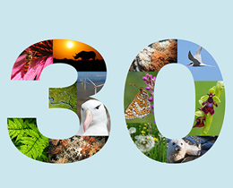 Nature News: Spring 2021