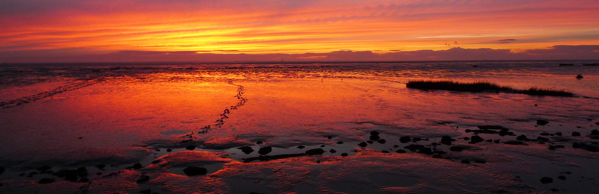 New Year New Beginnings