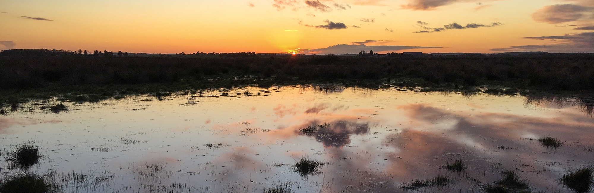UK Inter-Agency Group to highlight the value of nature at COP26