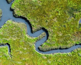 2026: A defining year for nature