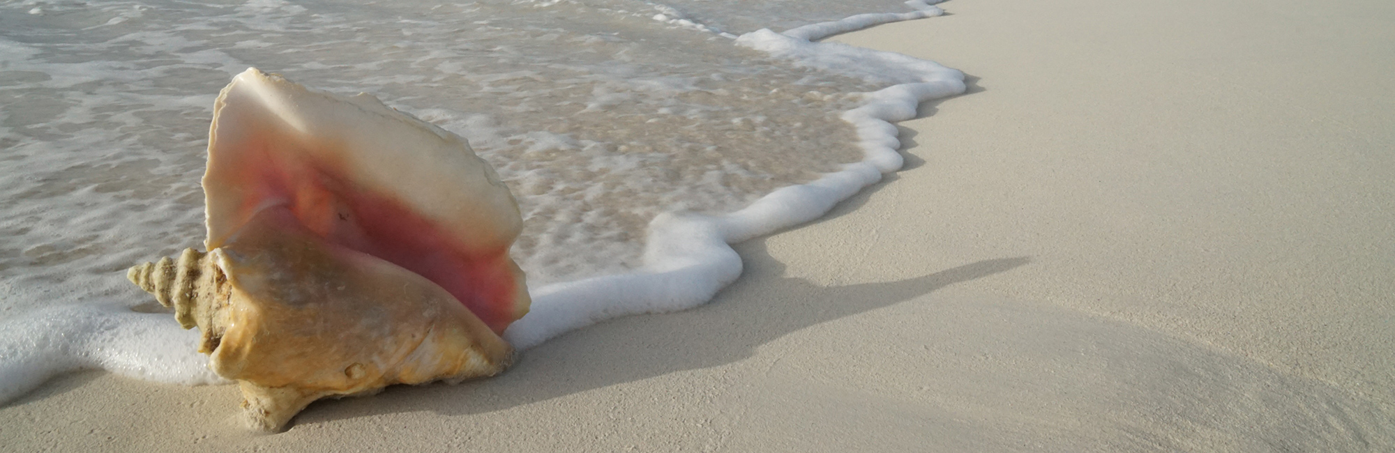 'Sustaining queen conch fisheries and livelihoods in the Turks and Caicos Islands': project visit