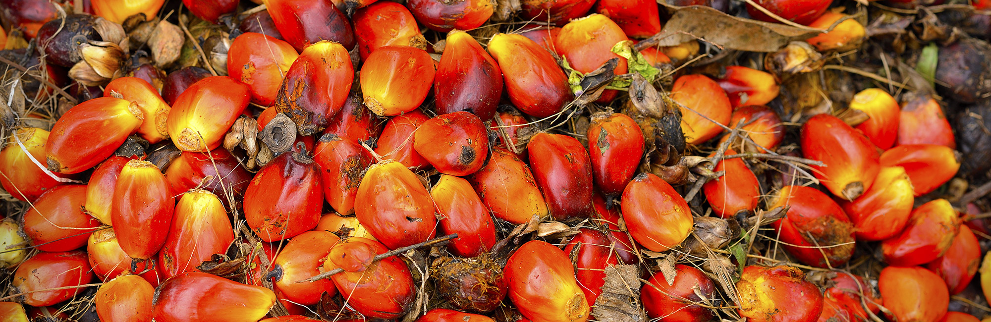 Global impacts experimental statistic updated