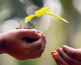 UK Statutory Nature Conservation Bodies call for action