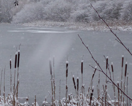 Severe weather update: voluntary restraint in Scotland lifted