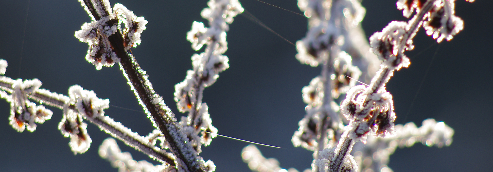 Nature News Winter 2022/23