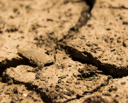 First step made towards a soil health indicator