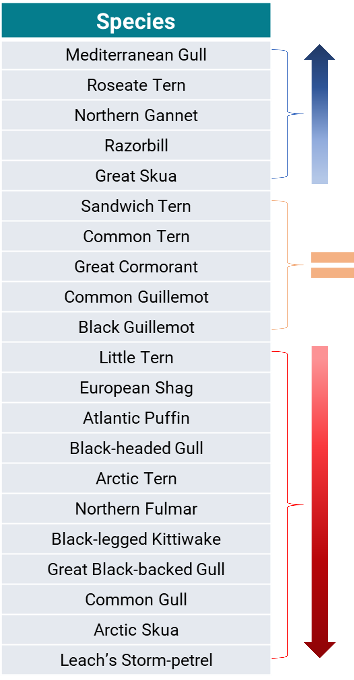 A table of seabirds included in Seabirds Count showing their order in terms of improvement, staying the same or decline. Details are provided in the Seabirds Count publication
