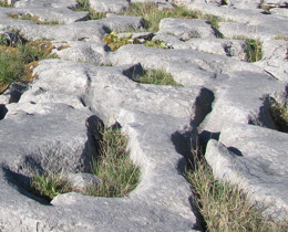 UK Protected Areas Joint Statement published