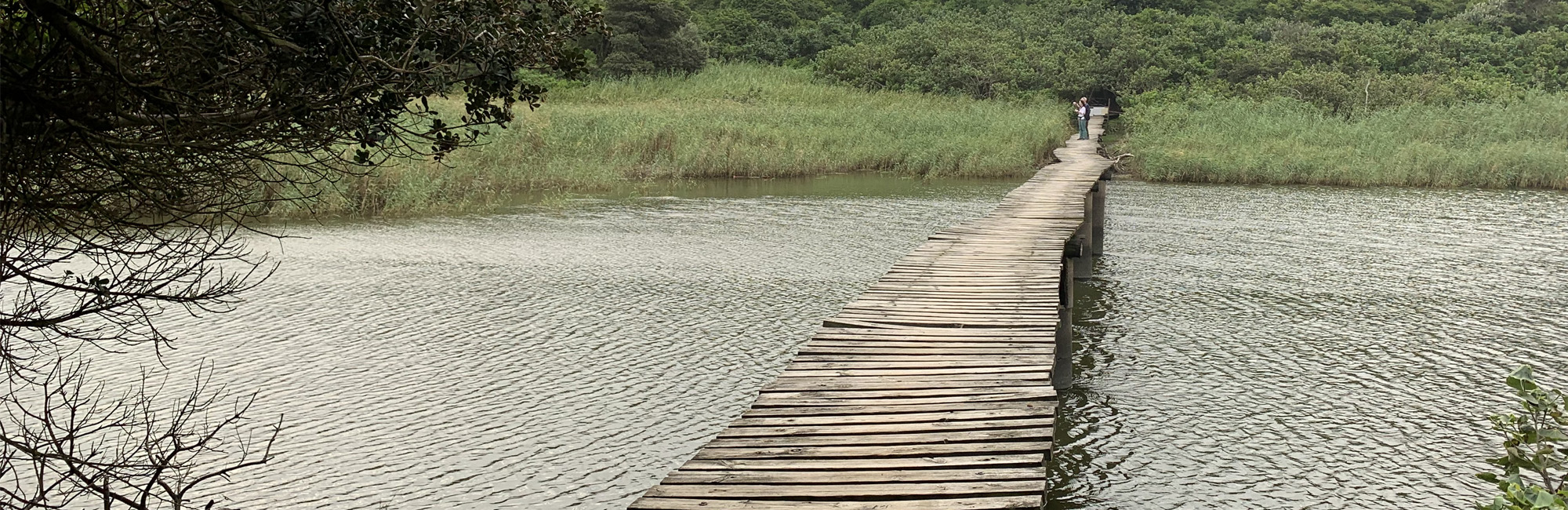The uMhlanga Estuary ©  Natasha Hunt/JNCC