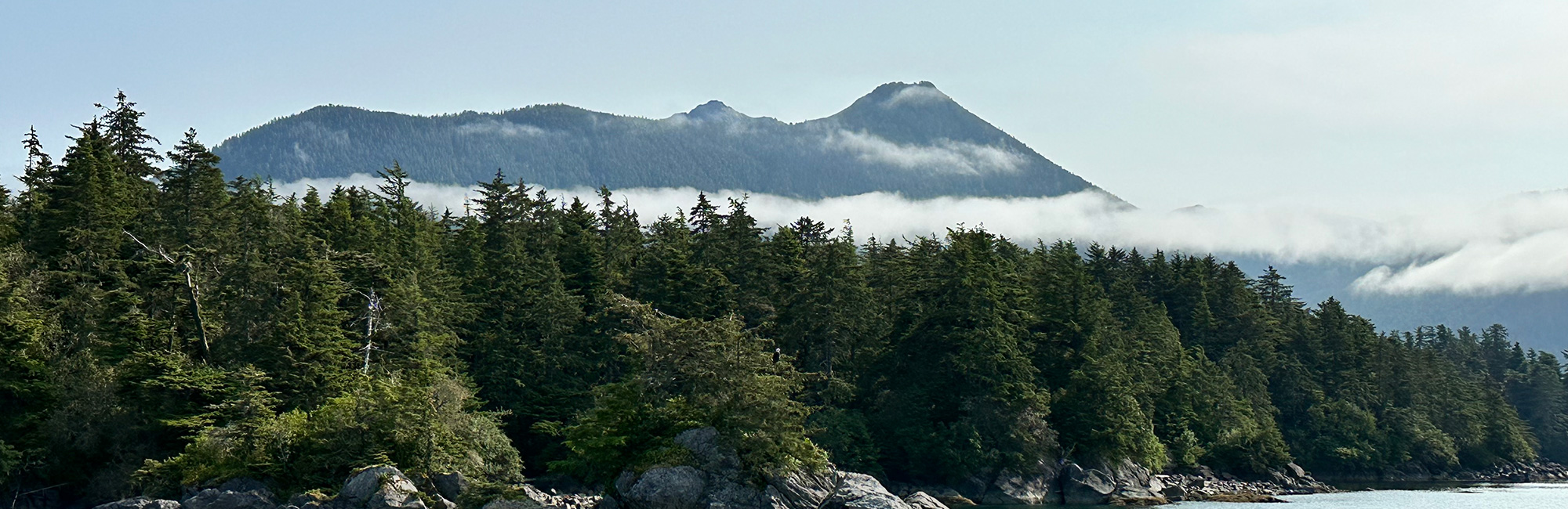 New Management Effectiveness of Protected and Conserved Areas (MEPCA) tool launched