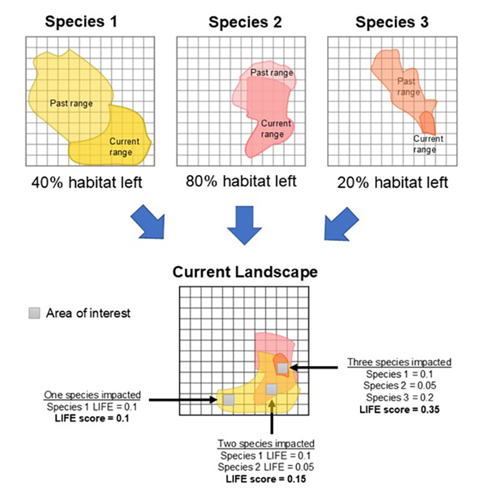 Series of example schematic range maps.