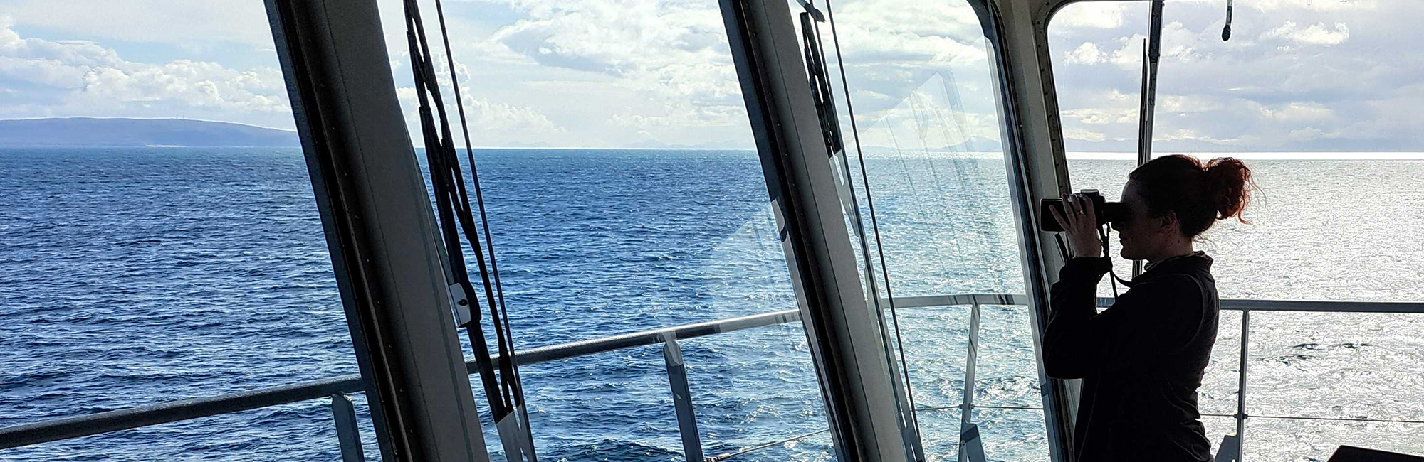 JNCC and ORCA launch national project to benefit whales, dolphins and porpoises