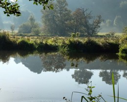 UK publishes first post-EU assessment for habitats and species