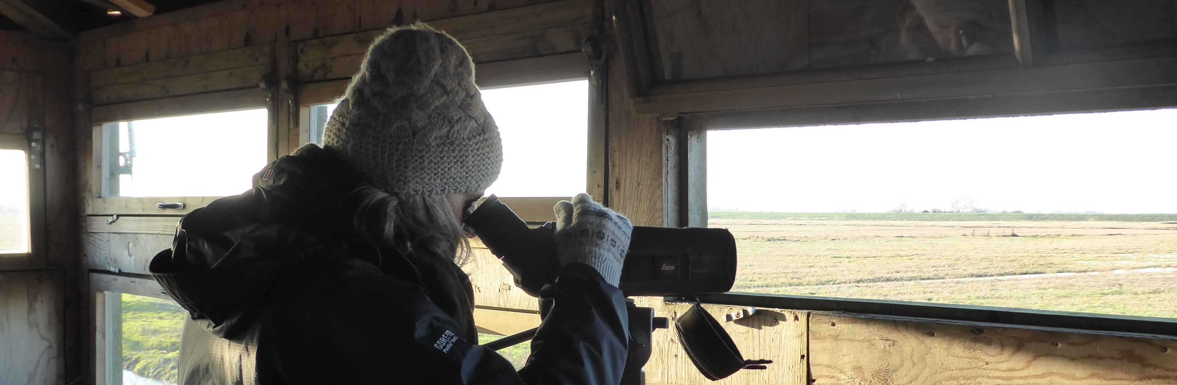 Measuring nature's pulse: the story behind the UK Biodiversity Indicators