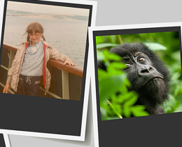 1970s TV, David Attenborough and the power of communication