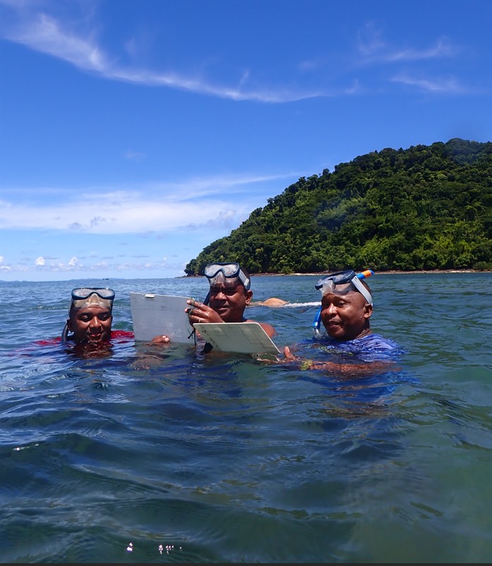 Nosy Sakatia Seagrass Practical ©Holly Baigent