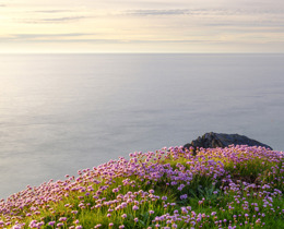 Ceibwr Bay © iStock1154936588